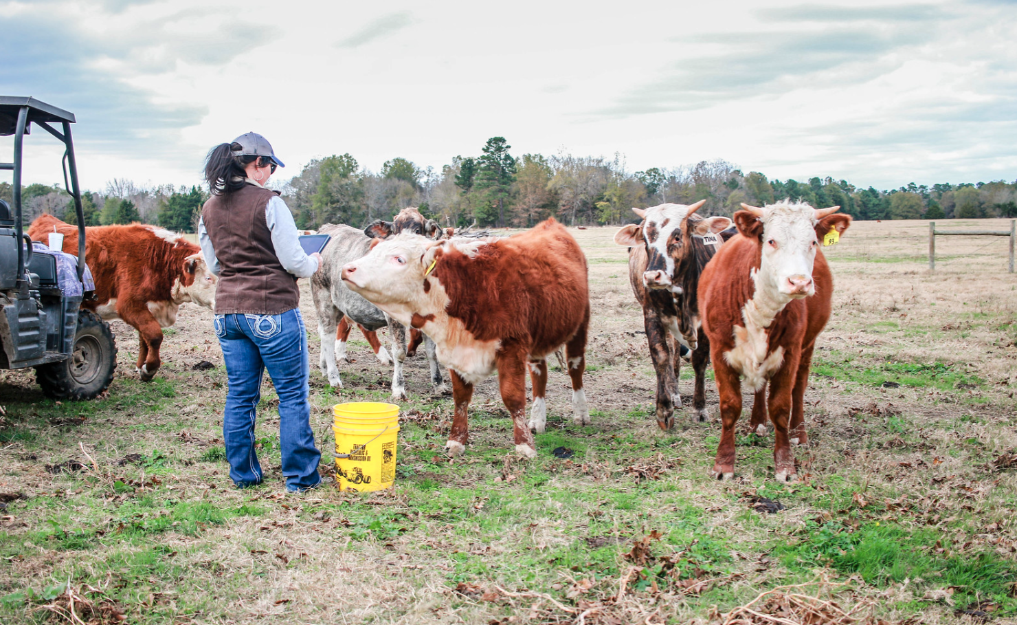 Ever changing ranching challenges require new management solutions