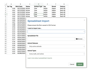 New Feature – Spreadsheet Import