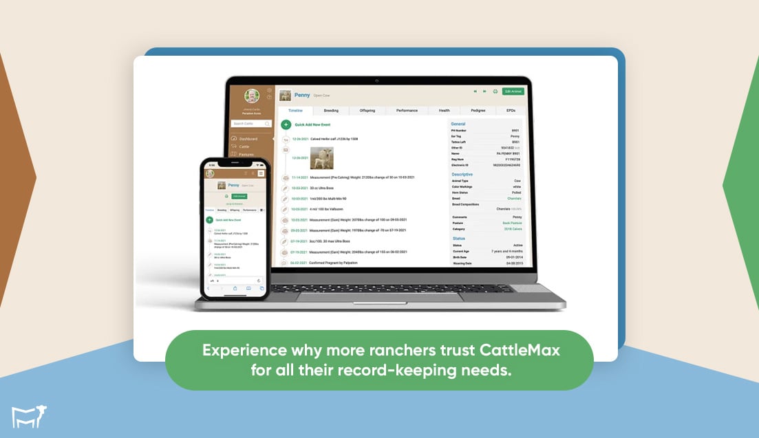 Streamline-Your-Cattle-Management-with-CattleMax-Internal-5-Sept-2024
